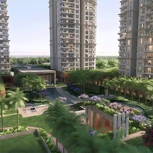 conscient elevate amenities