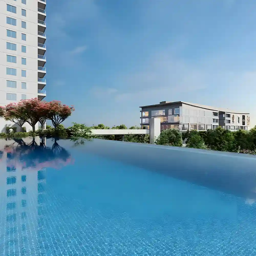 dlf the arbour price